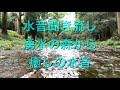 癒しの川音、水音、自然音聴き流し。睡眠、お仕事のＢＧＭに。大分県の湧水の森から。