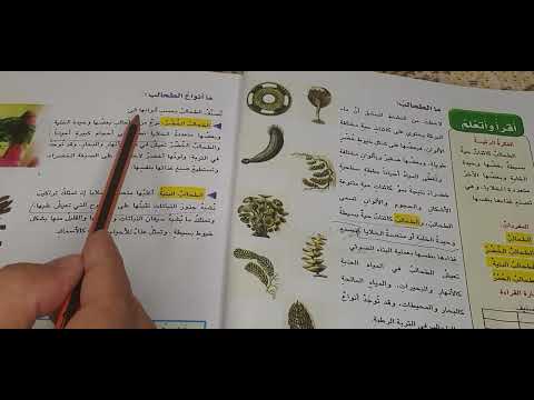 العلوم للصف الرابع ابتدائي صفحة 26 الطحالب الخضر والطحالب البنيه والطحالب الحمر العلوم للصف الرابع ابتدائي صفحة 26 الطحالب الخضر والطحالب البنيه والطحالب الحمر
