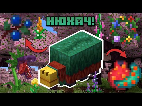 Идеи для обновления Нюхача в Майнкрафт 1.20!