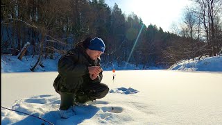 Рыбалка на комбаины!Поставил на леща,а поймал Налима!Ночевка в лесной избе!