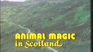 Animal Magic in Scotland - BBC, 1981