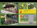 Native plant landscape design full example including plant detail