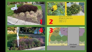 Native Plant Landscape Design Full Example Including Plant Detail