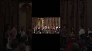 Harvard A Cappella Sings Fields of Gold (Sting Cover) - #acapella #sting #pitchperfect