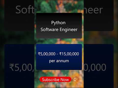 Python Developer Salary