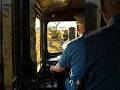 train crossing through the lion. train ghane junglon ke bich se gujarte hue #lojong #viral #trending
