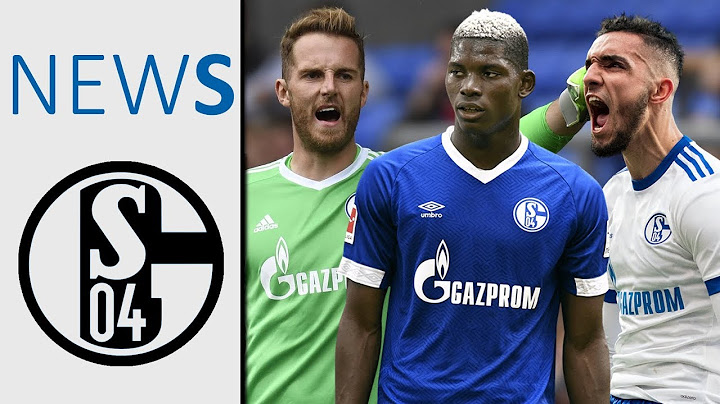 XXL-Umbruch auf Schalke! 14 von 29 Spielern müssen gehen!
