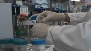 CTE Pathways -- Health Science