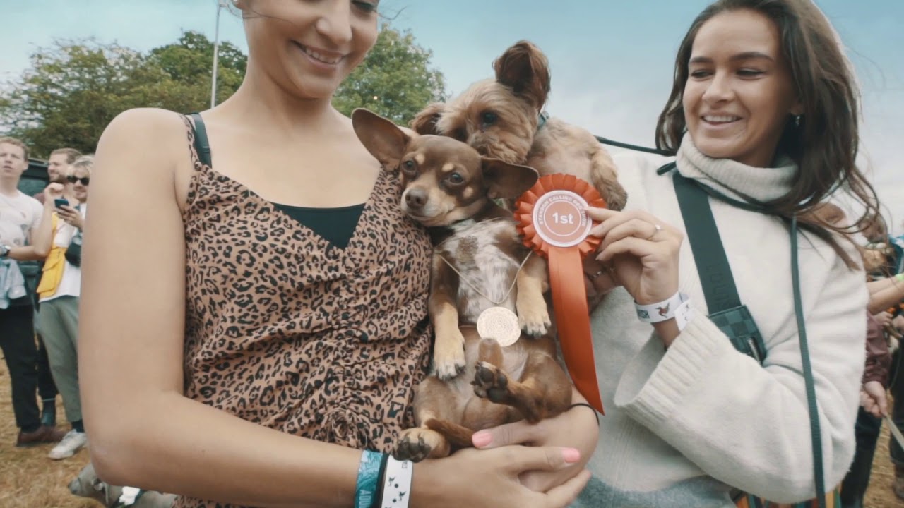 Standon Calling Festival - 2019 Highlights