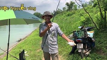 Câu lăng xê kinh Đông .hồ dầu tiếng Tây ninh được rô phi to. Cá mè vinh mè dảnh @hoc Nguyễn vlog