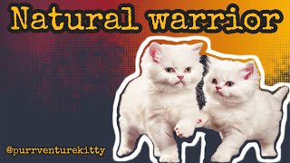 Awaken Your Inner Warrior 💪 #youtubevideo by Purrventure Kitty 421 views 3 weeks ago 2 minutes, 14 seconds