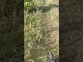 чуть пацана не збила фура піка