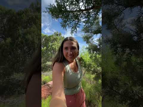 Hiking pants vs