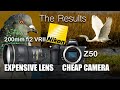 Nikon Z50 with Nikon 200mm f/2 VRII Review | TC-14E III | TC-20E II  Expensive lens cheap camera