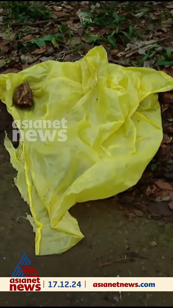 കുട്ടമ്പുഴയില്‍ യുവാവിനെ ആന ചവിട്ടി കൊന്നതിന് പിന്നാലെ KSEB സ്ട്രീറ്റ് ലൈറ്റ് ഇട്ടു