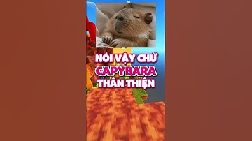 Sứ giả hoà bình Capybara #ChaAiCanBiet #xuhuong #factvui #kienthucthuvi #FactVui #capybara