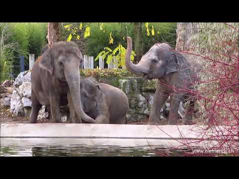 Hello Ma Palaj Hello Kalaya Hello Rani Nice To See You