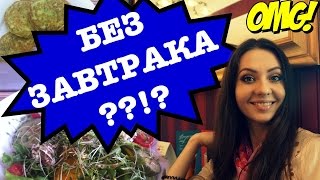 КАК МОЖНО НЕ ЗАВТРАКАТЬ??? ЕЖЕДНЕВНЫЙ ПОСТ | Вопросы О ПИТАНИИ КАК МОЖНО НЕ ЗАВТРАКАТЬ??? ЕЖЕДНЕВНЫЙ ПОСТ | Вопросы О ПИТАНИИ