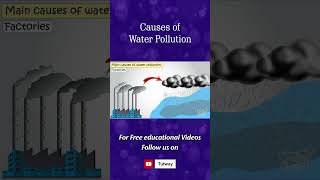 Water Pollution | Causes of Water Pollution | Environmental Science | Science #shorts