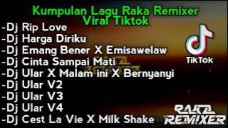 Kumpulan Lagu Raka Remixer Yang Viral Di Tik Tok