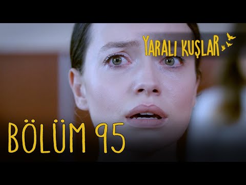 Yaralı Kuşlar 95. Bölüm