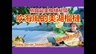 槟城榴莲季节即将开始！最早有榴莲吃的隐藏式渔村/ 成龙榴莲你吃过吗？吹海风的榴莲風味浓郁！必吃榴莲煎蕊与海鲜/ Hidden Gem of Penang/ Gertak Sanggul screenshot 2