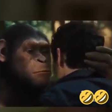 Monyet buntu