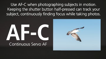Autofocus Modes Tutorial