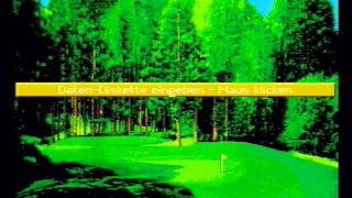 MicroproseGolf_Falcon.avi