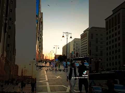 ياحمام ياطاير فوقي رفرف عليا اكسبلور