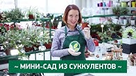 Егорьевский тепличный комбинат - YouTube