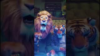 Lion and tiger roommates arguing while playing a racing video game. #tictactoe #tigerspotted #lion