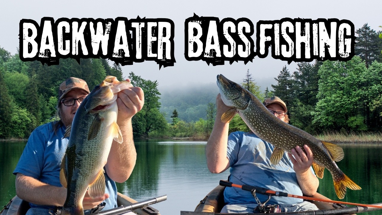 Backwater Bass Fishing
