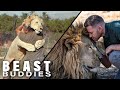 The Men Who Cuddle Lions I Beast Buddies Special