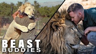 The Men Who Cuddle Lions I Beast Buddies Special