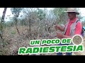 Detección metálica y un poco de radiestesia.