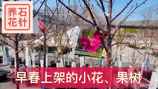 早春新花陆续上架 地址在说明区 Youtube 早春新花陆续上架 地址在说明区 Youtube