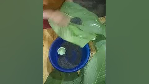 Bánh chưng gù đặc sản hà giang