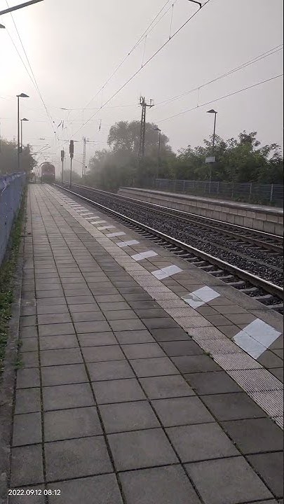 September 12, 2022 выехал поезд из тумана, вынул ножик из кармана ...