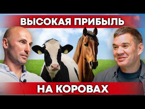 Former Janitor Built a Farm and Supports a Whole Village! | Beef Farming | Homegrown Food
