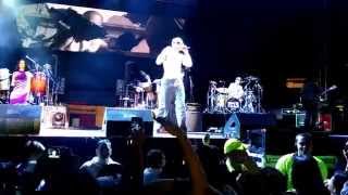 Calle 13 - Adentro, Gira Multi Viral