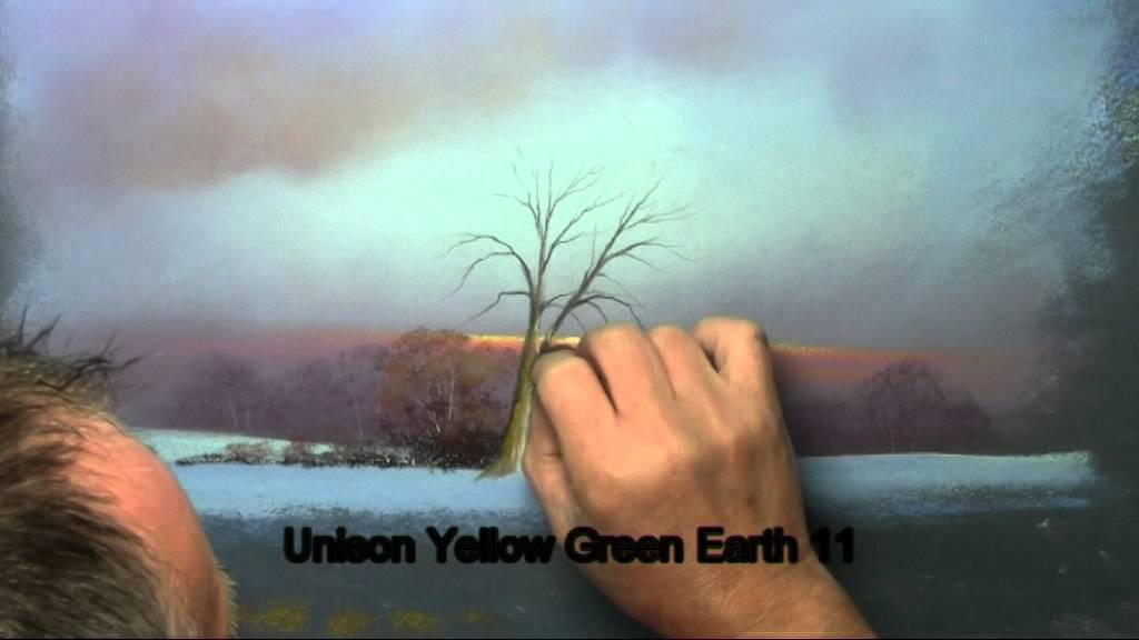 Moody Views Snow and Trees