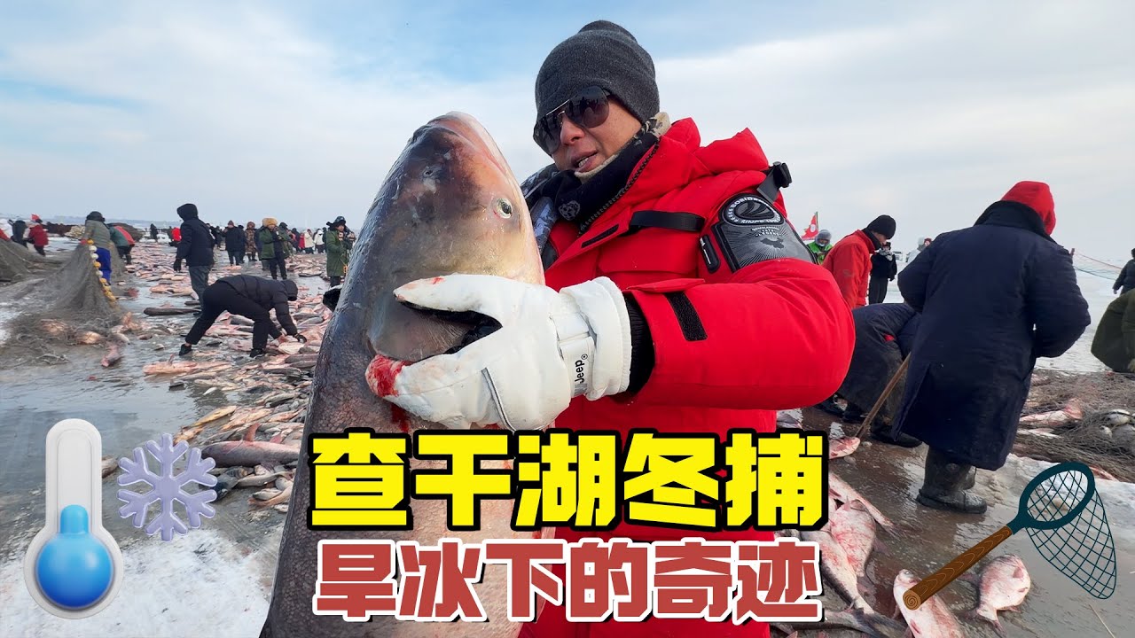在中国1个冰洞竟拉出数万条鱼，一个鱼头能卖上白万RMB，底能赚多少钱？【耀阳环游记】