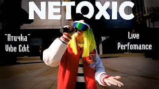 NETOXIC - Птичка (Vibe Edit) || Live perfomance