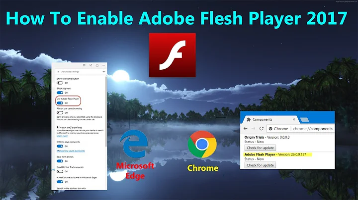 How to Enable Adobe Flash Player on Chrome, Microsoft Edge | Updated New Version