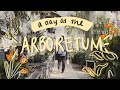 A Day at the Arboretum