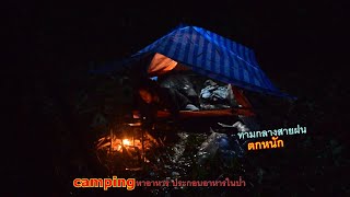 นอนป่า ท่ามกลางสายฝน หาวัตถุดิบ มาประกอบอาหาร ep.34. sleeping in the forest in the rain