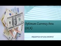 Optimum currency area  theory criteria and benefits and cost