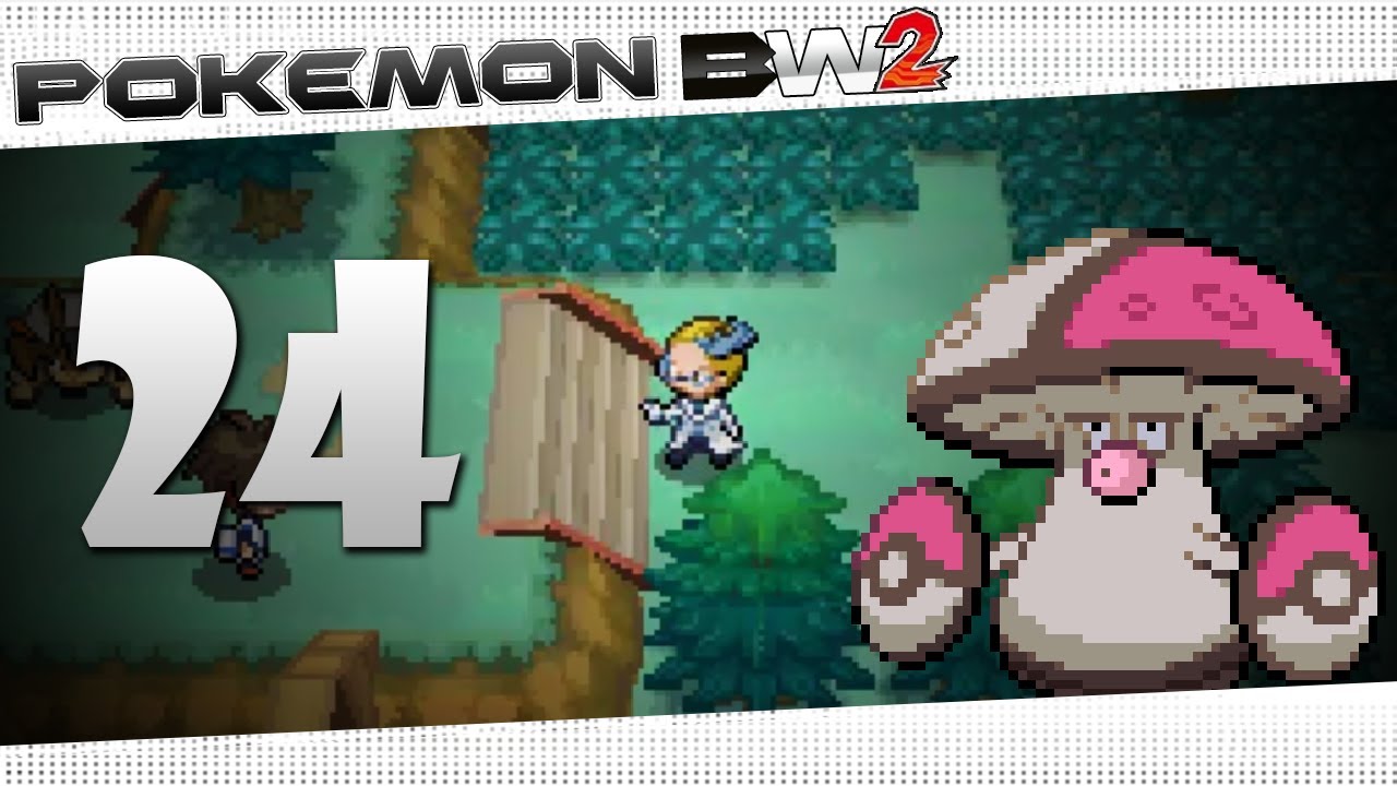 Pokemon Black 2' and 'White 2' has new gyms and areas, first trailer  released - Polygon