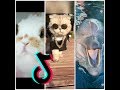 Cute and Funny Pets/Animals Compilation || Tiktok #2